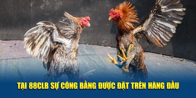 Tại hệ thống sự công bằng được đặt trên hàng đầu