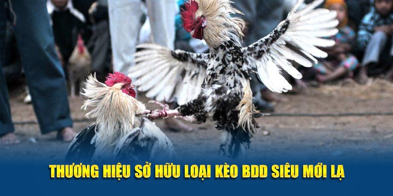 Thương hiệu sở hữu loại kèo BDD siêu mới lạ